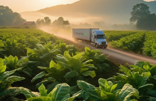 From Seed to Shipment: How Traceable Nicotine Manufacturing Protects Global Buyers