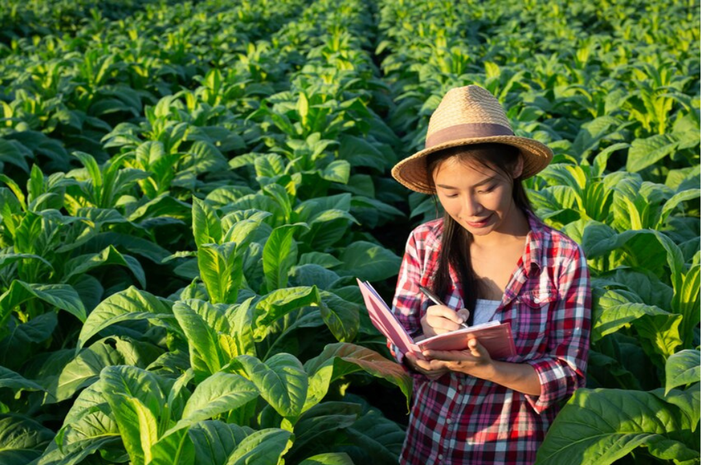 Agriculture